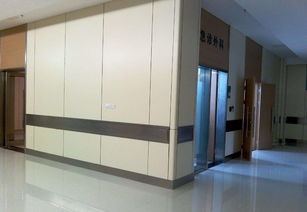 深圳抗倍特板护墙板与医院挂墙板的高清展示与实用解析
